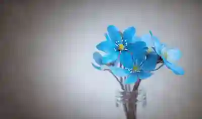 다자녀 국가장학금 지원금 신청 방법 알아보자