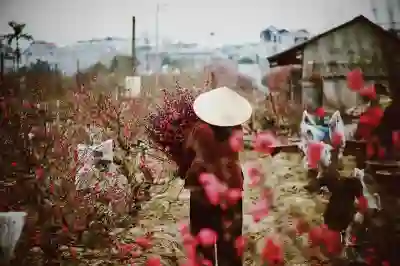 9월 하노이 왕복항공권 할인특가 예매 꿀팁 알아보자