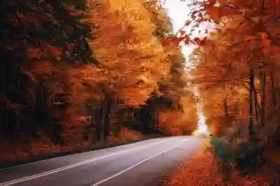 애경산업 2080치약 환불 신청 방법 알아보자
