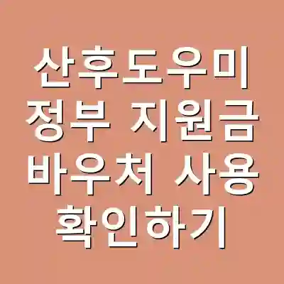산후도우미 정부 지원금 바우처 사용 확인하기
