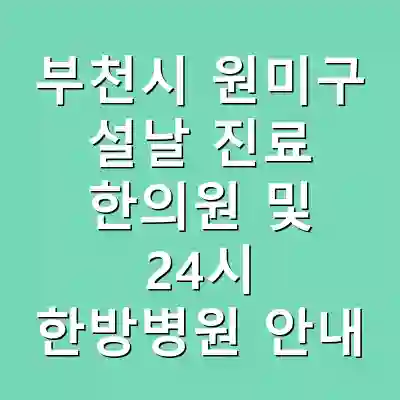 부천시 원미구 설날 진료 한의원 및 24시 한방병원 안내