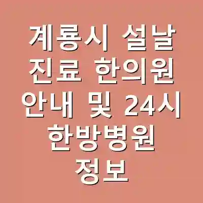 계룡시 설날 진료 한의원 안내 및 24시 한방병원 정보