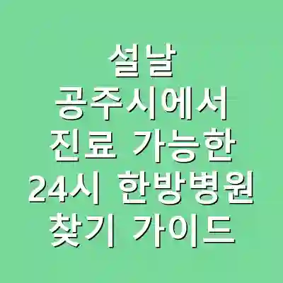 설날 공주시에서 진료 가능한 24시 한방병원 찾기 가이드