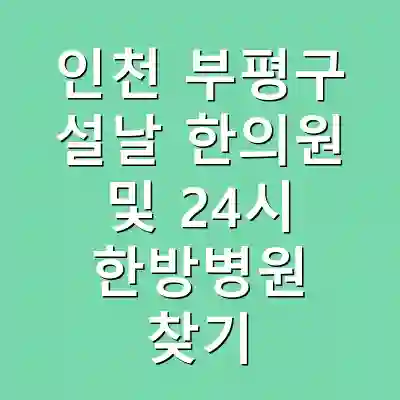 인천 부평구 설날 한의원 및 24시 한방병원 찾기