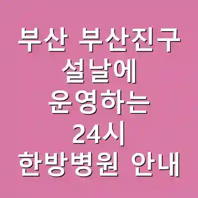 부산 부산진구 설날에 운영하는 24시 한방병원 안내