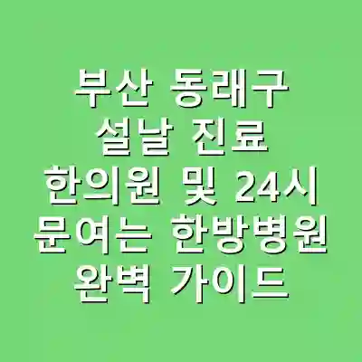 부산 동래구 설날 진료 한의원 및 24시 문여는 한방병원 완벽 가이드