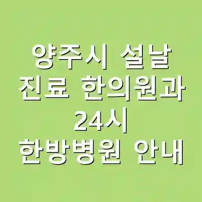 양주시 설날 진료 한의원과 24시 한방병원 안내