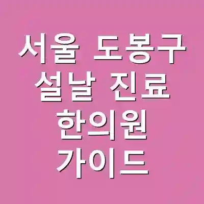 서울 도봉구 설날 진료 한의원 가이드