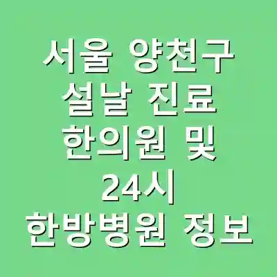 서울 양천구 설날 진료 한의원 및 24시 한방병원 정보