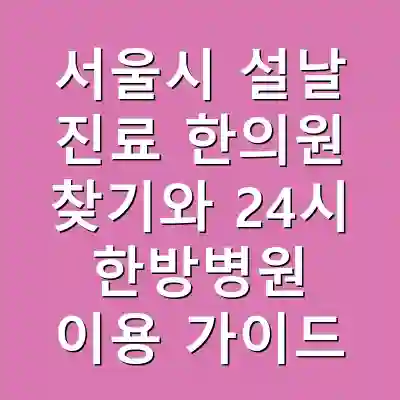 서울시 설날 진료 한의원 찾기와 24시 한방병원 이용 가이드