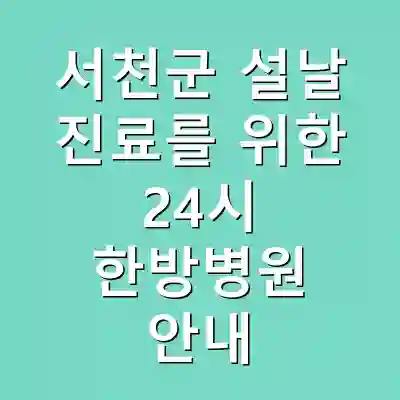 서천군 설날 진료를 위한 24시 한방병원 안내