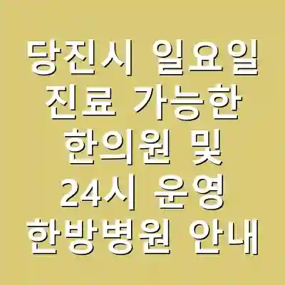 당진시 일요일 진료 가능한 한의원 및 24시 운영 한방병원 안내