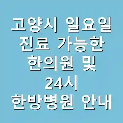 고양시 일요일 진료 가능한 한의원 및 24시 한방병원 안내