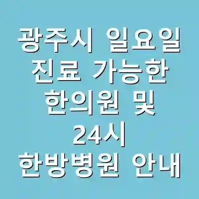 광주시 일요일 진료 가능한 한의원 및 24시 한방병원 안내