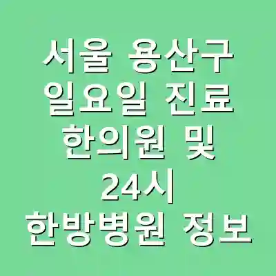 서울 용산구 일요일 진료 한의원 및 24시 한방병원 정보