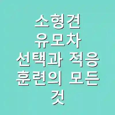 소형견 유모차 선택과 적응 훈련의 모든 것