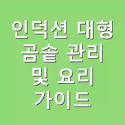 인덕션 대형 곰솥 관리 및 요리 가이드
